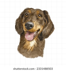 Watercolor portrait of Dachshund dog Hand drawn illustration