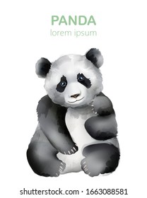 Watercolor portrait of a panda bear. Wildlife animals. Vector