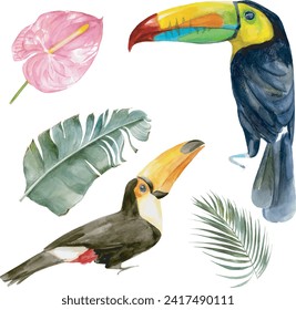 Watercolor portrait of toucans in the forest vector illustration. Exotic birds with tropical leaves with red flowers. Two wild keel-billed tucan with leaf. Nature travel in Costa Rica, wildlife.	