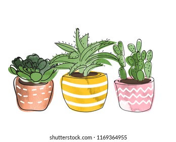 watercolor potted plants and succulents