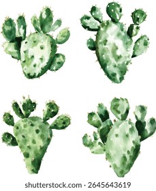 Watercolor Prickly Pear Cactus Set vector illustration
