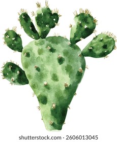 Watercolor Prickly Pear Cactus  vector illustration