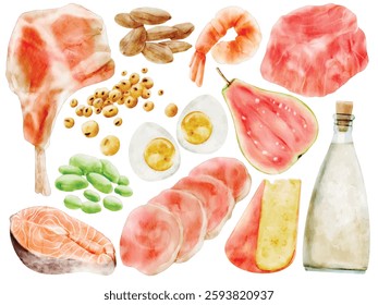 Watercolor Protein Food Illustration Set, High Protein Ingredients, Meat, Salmon, Egg, Beans, Nuts, Cheese, Tofu, Shrimp, Healthy Diet, Nutritional, Hand Painted, Realistic, Cooking, Kitchen Art
