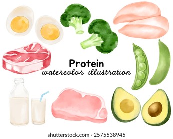 Watercolor Protein Food Illustrations: Hand-Painted Clip Art Featuring Eggs, Broccoli, Chicken, Peas, Avocado, Milk, and Meat Cuts for Creative Designs, Menus, and Healthy Culinary Projects