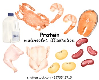 Watercolor Protein Food Illustrations: Hand-Painted Clip Art Featuring Crab, Shrimp, Salmon, Milk, Beans, Chicken, and Legumes for Culinary Projects, Menus, and Creative Designs.
