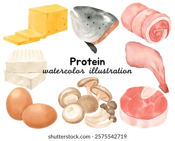 Watercolor Protein Food Illustrations: Hand-Painted Clip Art Featuring Cheese, Salmon, Eggs, Chicken, Tofu, Mushrooms, and Meat Cuts for Creative Culinary Designs, Menus, and Projects