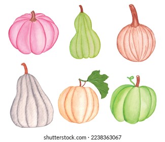 Watercolor pumpkin clipart set, fall pumpkin set, pumpkin vector