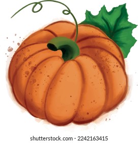 watercolor pumpkin. Hand-drawn watercolor. Vector illustration. Vegetarian raw food