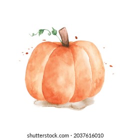 Watercolor pumpkin illustration. Orange pumpkin with hand-painted isolated on white background. Perfect for design decorative in the autumn festival, greeting cards, invitations, posters.