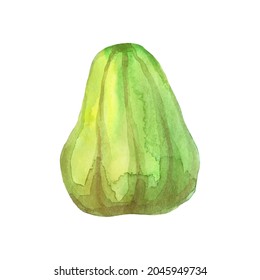 Watercolor pumpkin isolated on white background. Autumn harvest. Template for packaging, postcard, banner, poster, web design. Hand Drawn vector illustration.