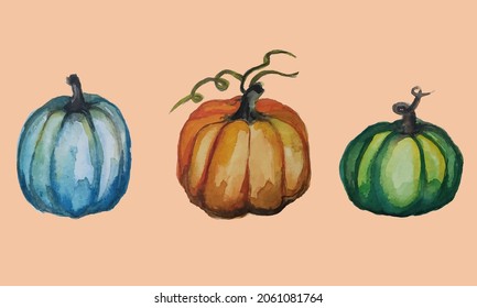 Watercolor pumpkins. Vector illustration. Halloween theme. Three different color pumpkins. 
