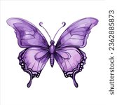 Watercolor purple butterfly on white background