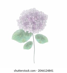 紫陽花 イラスト 和 Images Stock Photos Vectors Shutterstock