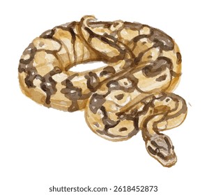 Watercolor python snake hand painted - Powered by Shutterstock - Get 15% off with code: PIKWIZARD15