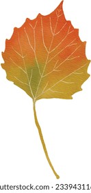 Watercolor Quacking Aspen Leaf in Autumn