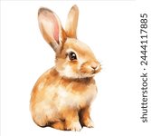 Watercolor rabbit. Cute little bunny in watercolor style. Hand drawn rabbit. 
