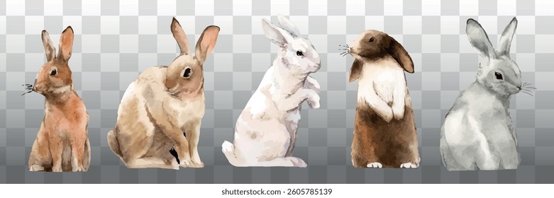 Watercolor rabbits in various poses on a transparent background. Rabbits are painted in soft, natural colors. Cute rabbit illustrations for design projects. Isolated animal vector set.
