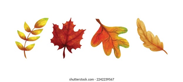 Watercolor Realistic Autumn Leaves Collection 02