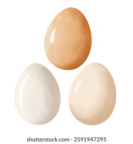 Watercolor realistic eggs. Set of white and brown chicken eggs. Hand drawn illustration.