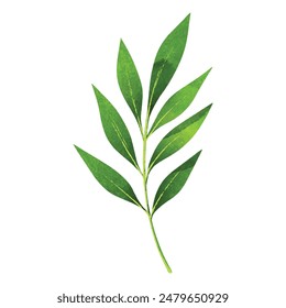 Watercolor realistic Monochromatic tropical leaves design.