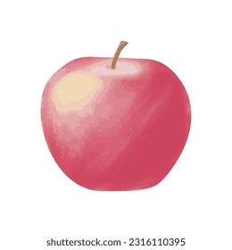 Watercolor red apple fruit isolated on white background