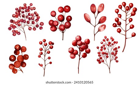 Watercolor red berries branch vector  clipart collection.  Isolated on white background vector illustration set. 