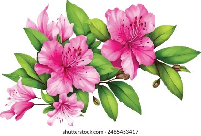 Watercolor red bouquet azaleas flower illustration. Hand drawn azaleas flower design.