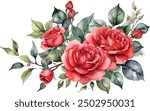 Watercolor red bouquet roses illustration. rose flower