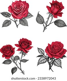 Watercolor red bouquet roses illustration. rose flower