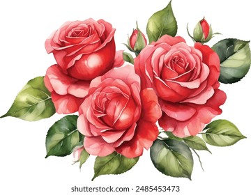 Watercolor red bouquet roses illustration. rose flower