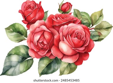 Watercolor red bouquet roses illustration. rose flower