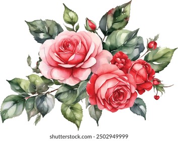 Watercolor red bouquet roses illustration. rose flower