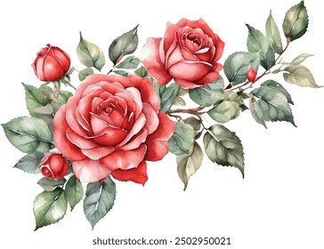 Watercolor red bouquet roses illustration. rose flower