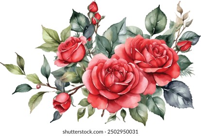 Ilustración de rosas de ramo rojo de acuarela. flor de rosa