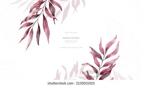 Watercolor red eucalyptus background template vector design, suitable for print job, card, background and etc.