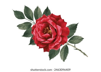 Watercolor red flower clipart illustration and rose floral branch with green leaves on white background, 