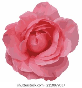 Watercolor red flower isolated on white background