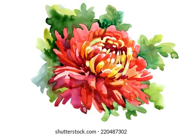 Watercolor red flower vector illustration