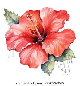 Inhibisco rojo acuarela. Flores tropicales de un solo elemento flor acuarela. Aislado sobre fondo blanco. para su diseño. rojizo paradisíaco exótico. hibisco pintado, vector
