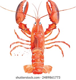 Watercolor red lobster isolated on white. Hand painted illustration