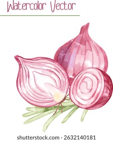 Watercolor Red Onion Bulb Slices com Rosemary Herb, ilustração vetorial orgânica adequada para blogs culinários, marca ecofriendly e receitas.