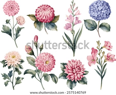 watercolor Red peony, hydrangea, flowers. Vintage watercolor flower set.