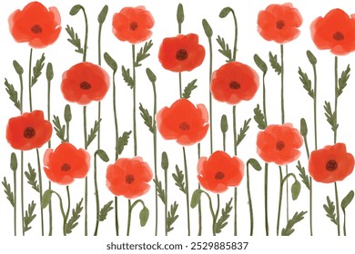 Fondo de amapola roja de la acuarela para los recursos gráficos. Ilustración de amapolas de acuarela sobre un fondo blanco