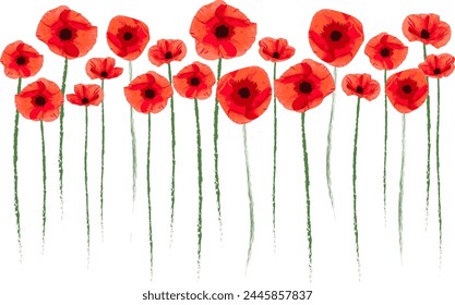 watercolor  red poppy flowers with leaves