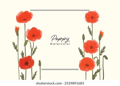 Watercolor red poppy frame background for graphic resources. Watercolor poppies illustration on a white background