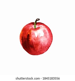 Watercolor red ripe whole Apple one isolated on a white background. Vector Apple can be used for: packaging paper, menu, juice, lemonade