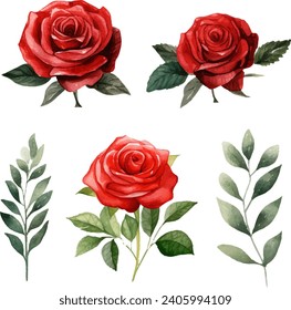 Watercolor red rose clipart for graphic resources