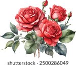 Watercolor red roses bouquet illustration. Hand draw rose flower