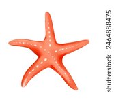 Watercolor red starfish. Watercolor summertime ocean element.