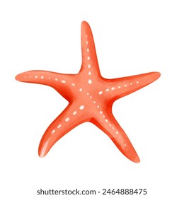 Watercolor red starfish. Watercolor summertime ocean element.